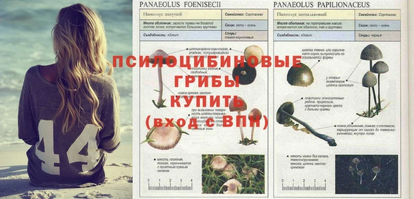 кокаин премиум Арсеньев