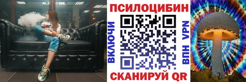 купить   блэк спрут зеркало  Псилоцибиновые грибы GOLDEN TEACHER  Судак 
